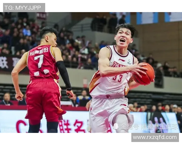 杭州排球队意识争议引发热议球迷与专家观点碰撞激烈