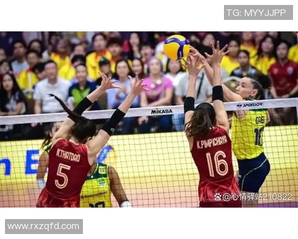 武汉排球队心理素质排名第一排球界TOP10心理素质分析揭晓 武汉排球队心理素质排名第一排球界TOP10心理素质分析揭晓
