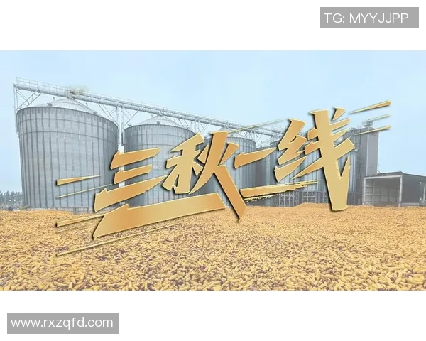 重磅专题:深圳篮球队的进攻革新 重磅专题:深圳篮球队的进攻革新